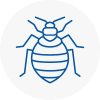 Bed Bug Extermination In Skelmersdale