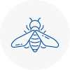 Bee Nest Removal Skelmersdale