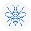 Skelmersdale Hornet Nest Removals