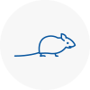 Mice Exterminators In Skelmersdale