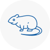 Rat Control Skelmersdale