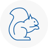 Skelmersdale Rodent Removals