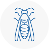 Skelmersdale Wasp Nest Removal